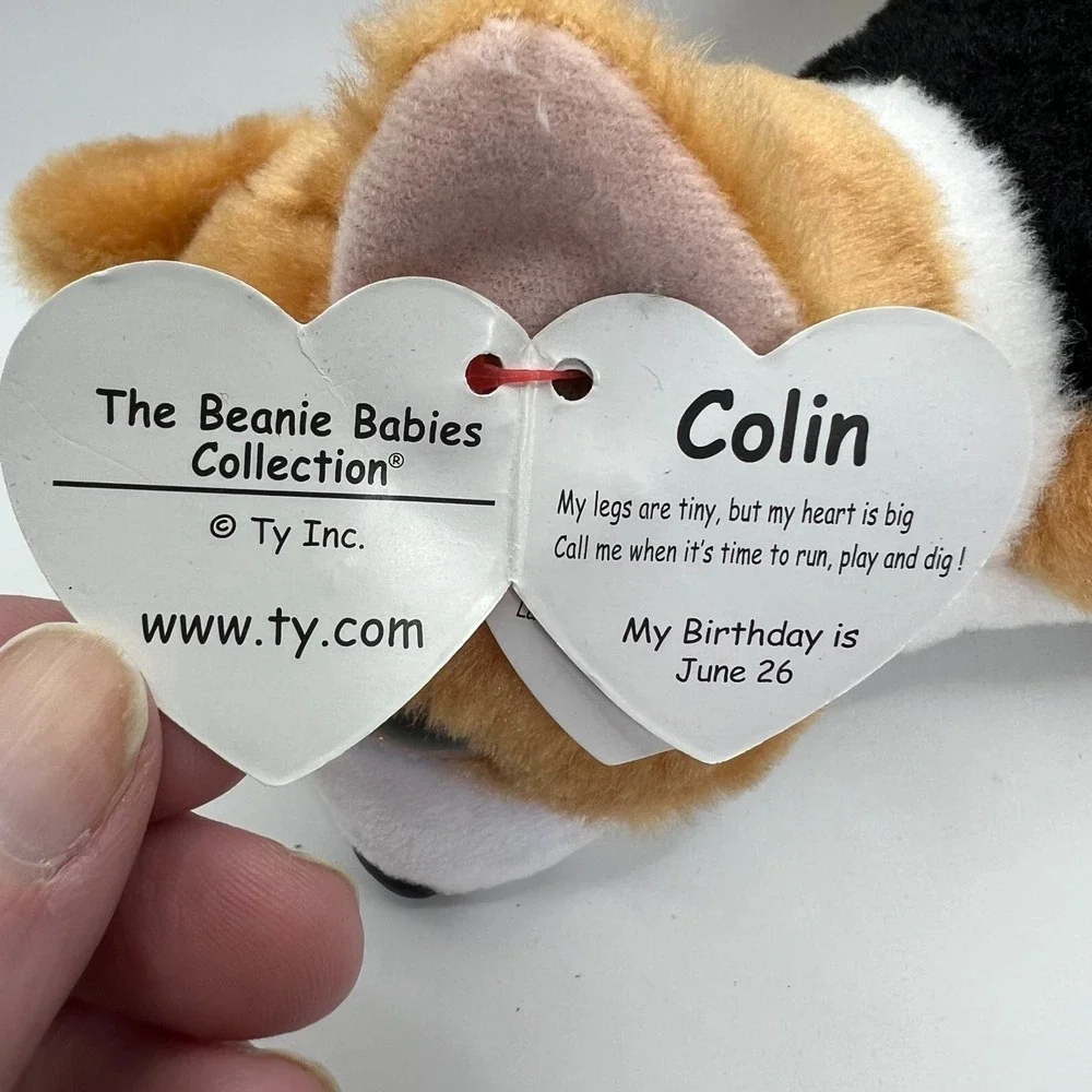 Ty Colin the Corgi 8